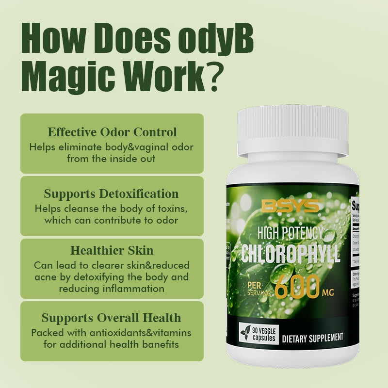 Chlorophyll Capsules  Fat Metabolism Support Aid Blood Purification & Detox Boost  Digestive Health & Constipation Relief Helper  Immune System Enhancement  Daily Detox & Wellness Supplement