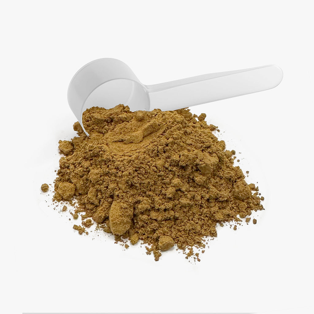 Rave Camp Mushroom Fuse Instant Coffee (Medium Roast)