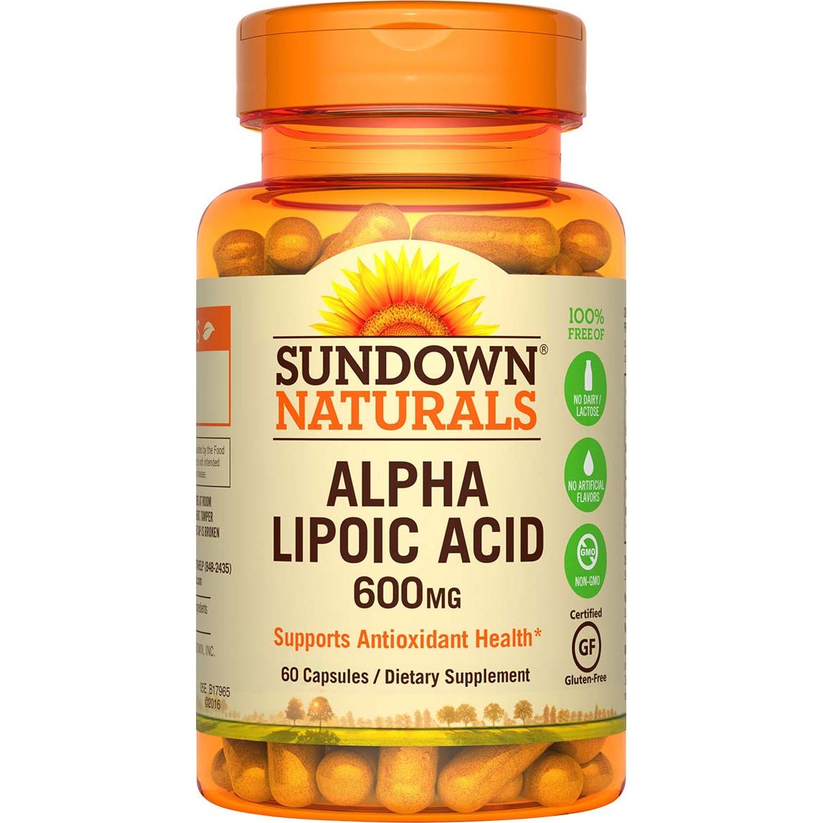 Sundown Naturals Super Alpha Lipoic Acid Capsules, 600 Mg – Gojo Health