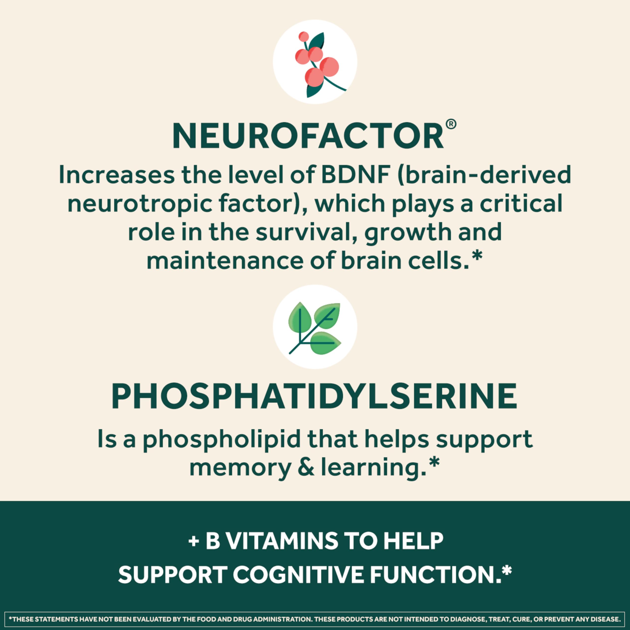NEURIVA Plus Brain Supplement Memory Focus Vitamins B6 B12 30 Capsules
