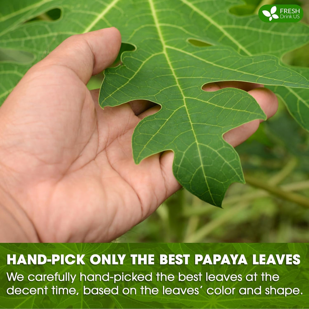 Premium Papaya Dried Leaves,  Papaya Loose Leaf Herbal Tea, No Additives, No Caffeine, Vegan