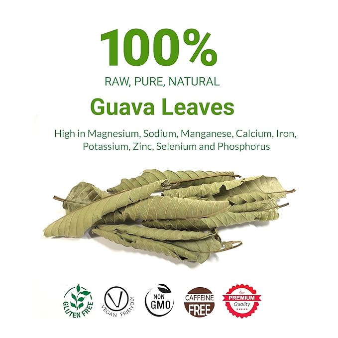Dried Guava Leaves 2.6oz – Loose Leaf Herbal Tea for Digestion & Immunity | Non-GMO, Vegan
