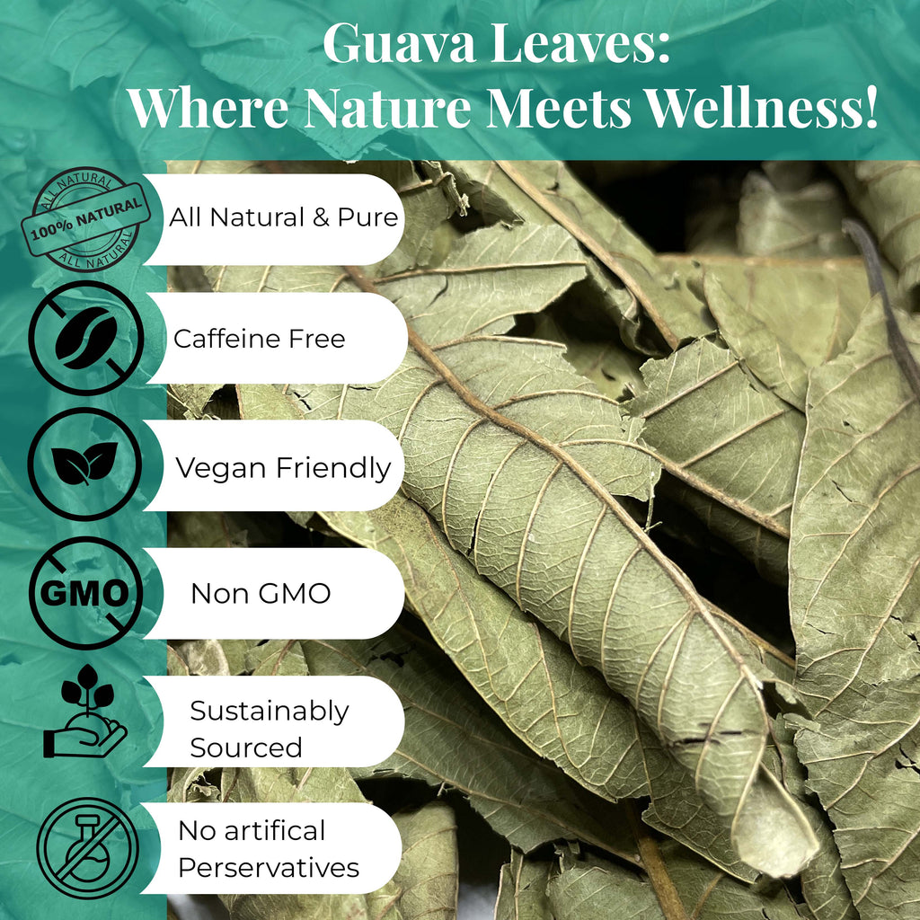 Dried Guava Leaves 2.6oz – Loose Leaf Herbal Tea for Digestion & Immunity | Non-GMO, Vegan