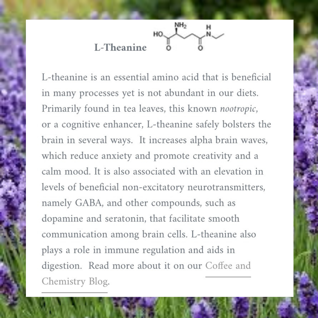 BALANCE BLEND | Vietnamese Lavender Coffee