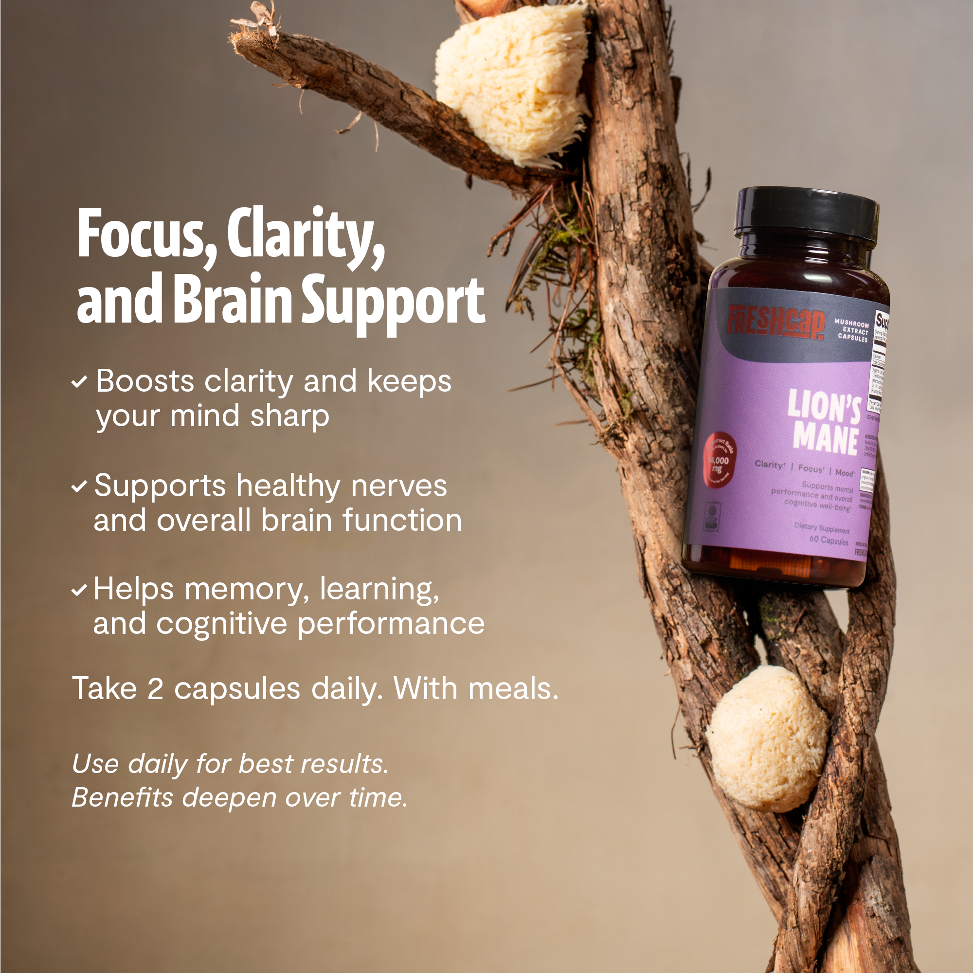 Organic Lion’s Mane Capsules