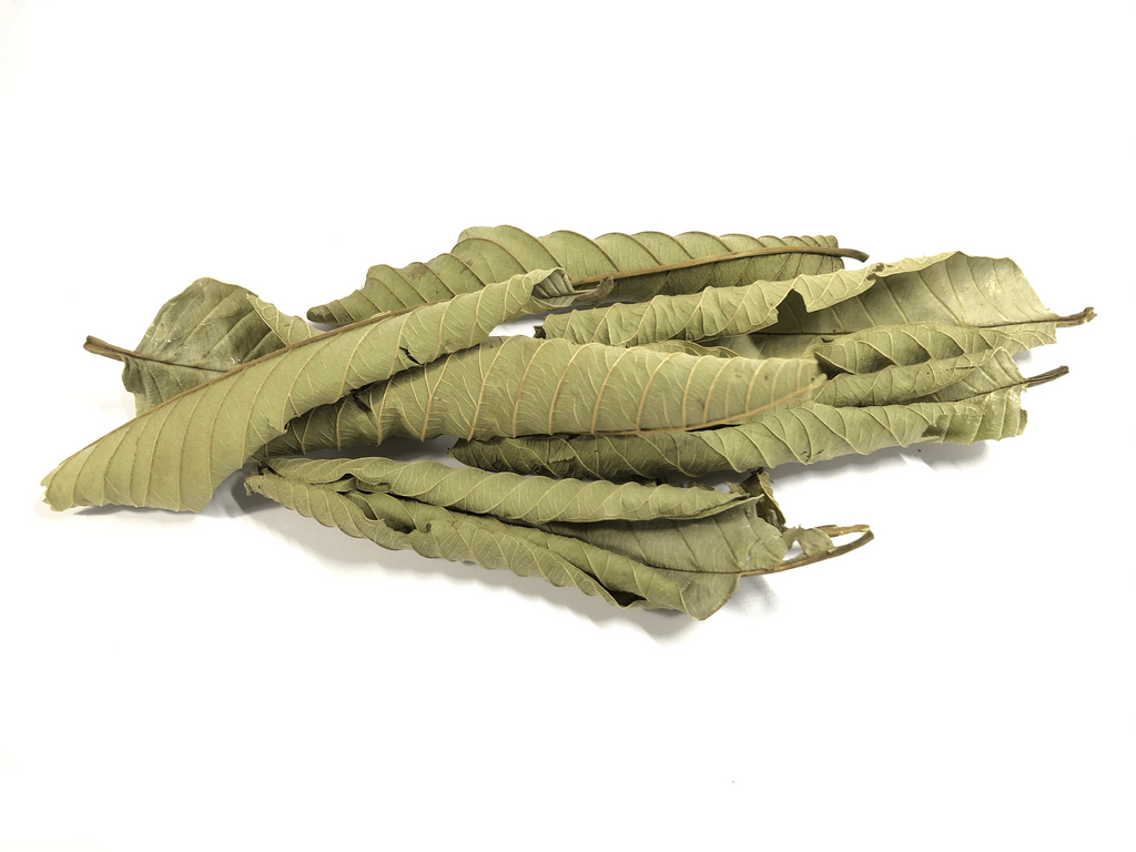 Dried Guava Leaves 2.6oz – Loose Leaf Herbal Tea for Digestion & Immunity | Non-GMO, Vegan