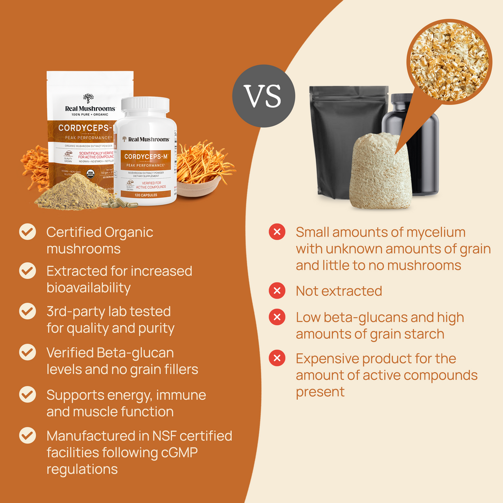 Organic Cordyceps Mushroom Extract Powder – Bulk Supplement by Real Mushrooms