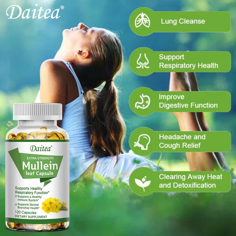 Natural Mullein Leaf Capsules Herbal Supplement for Lung Cleanse, Supports Healthy Respiratory Function, 120 Capsules
