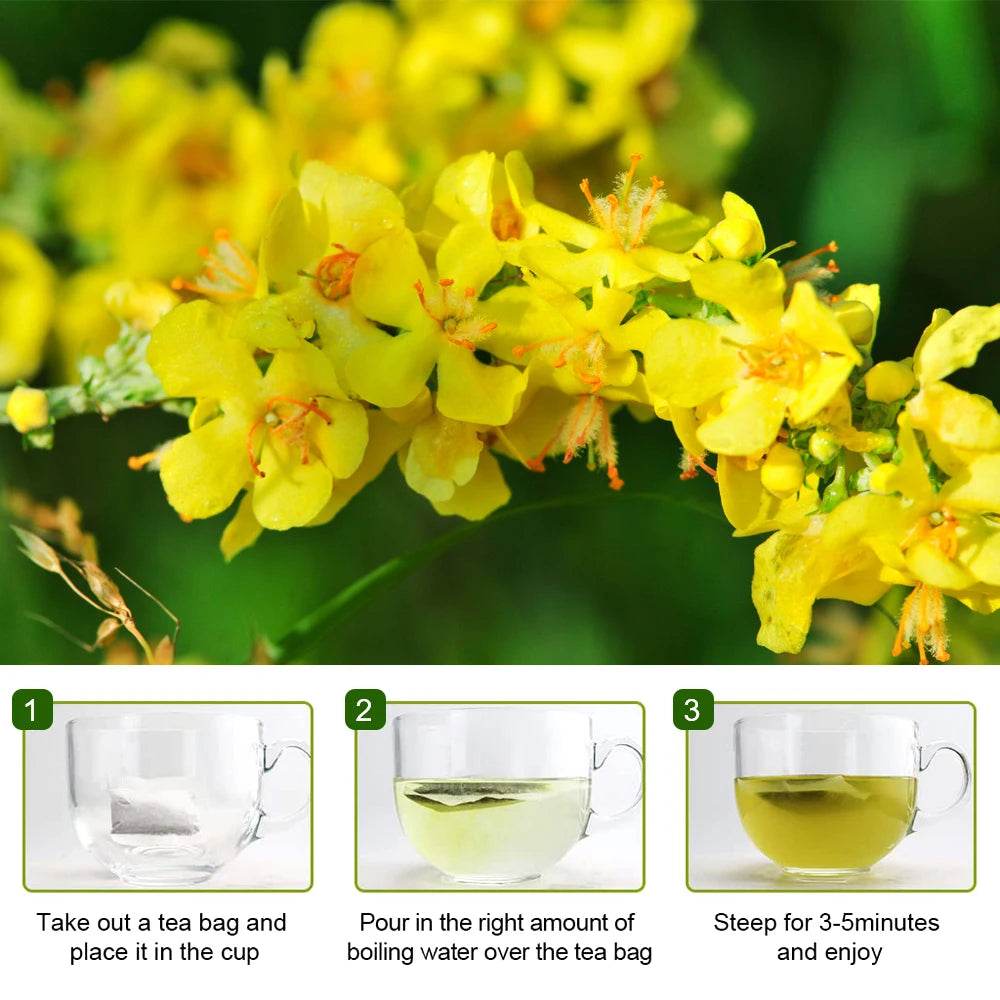 Herbal Tea for Respiratory Support | Mullein Leaf & Herbal Blend for Lung Health & Wellness | Caffeine-Free