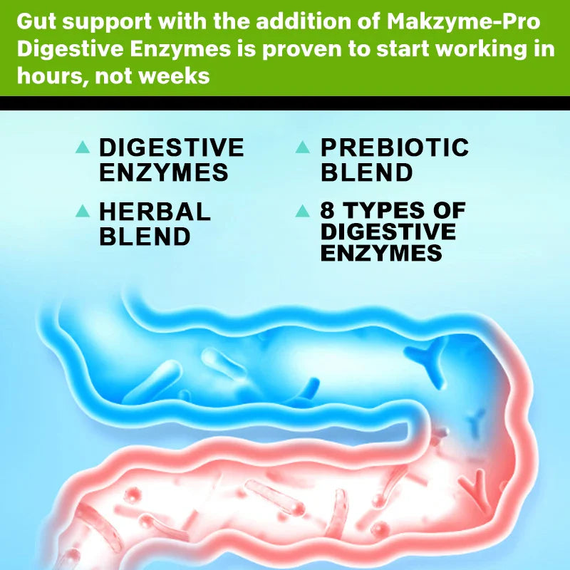 Digestive Enzymes Capsules - Aids in Bowel Movements, Metabolism, Nutrient Digestion and Intestinal Health