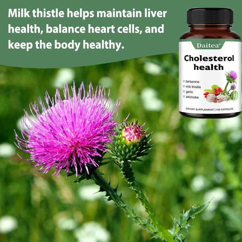 Supplements for Cholesterol Health - Natural Support for Heart, Liver, Digestive and Metabolic Health, 120 Vegetarian Capsules