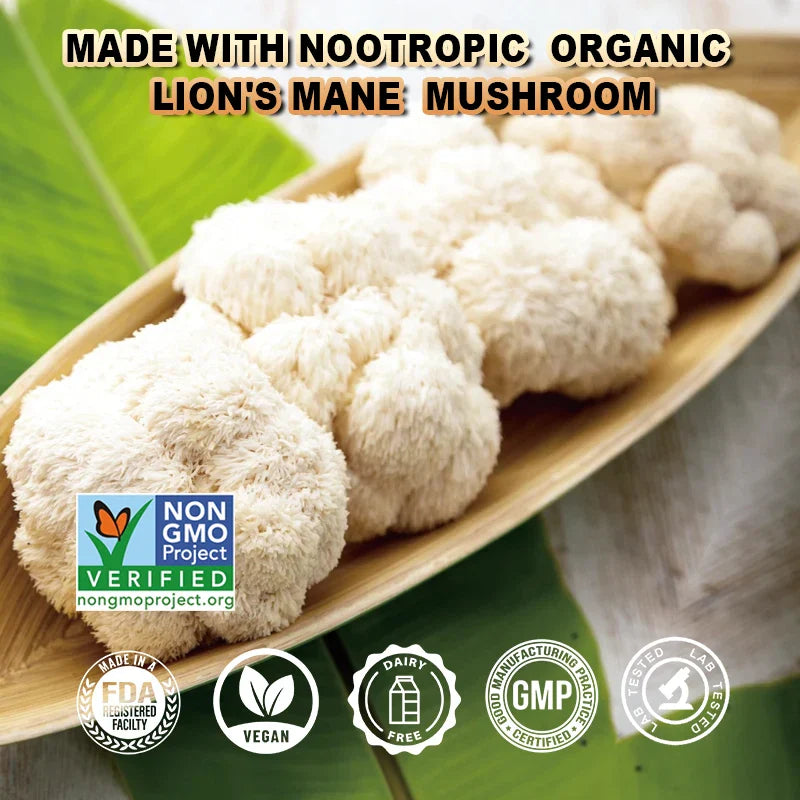 Balincer Lion's Mane Mushroom Extract Supplement for Mood and Sleep Health, Non-GMO, Gluten-free