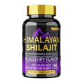 BSYS SHILAJIT GUMMIES 60'S
