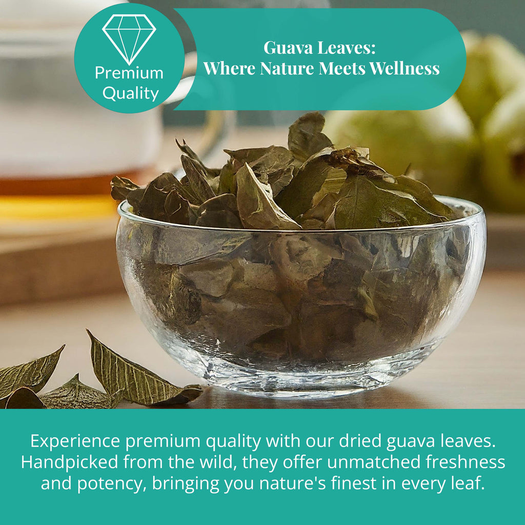 Dried Guava Leaves 2.6oz – Loose Leaf Herbal Tea for Digestion & Immunity | Non-GMO, Vegan