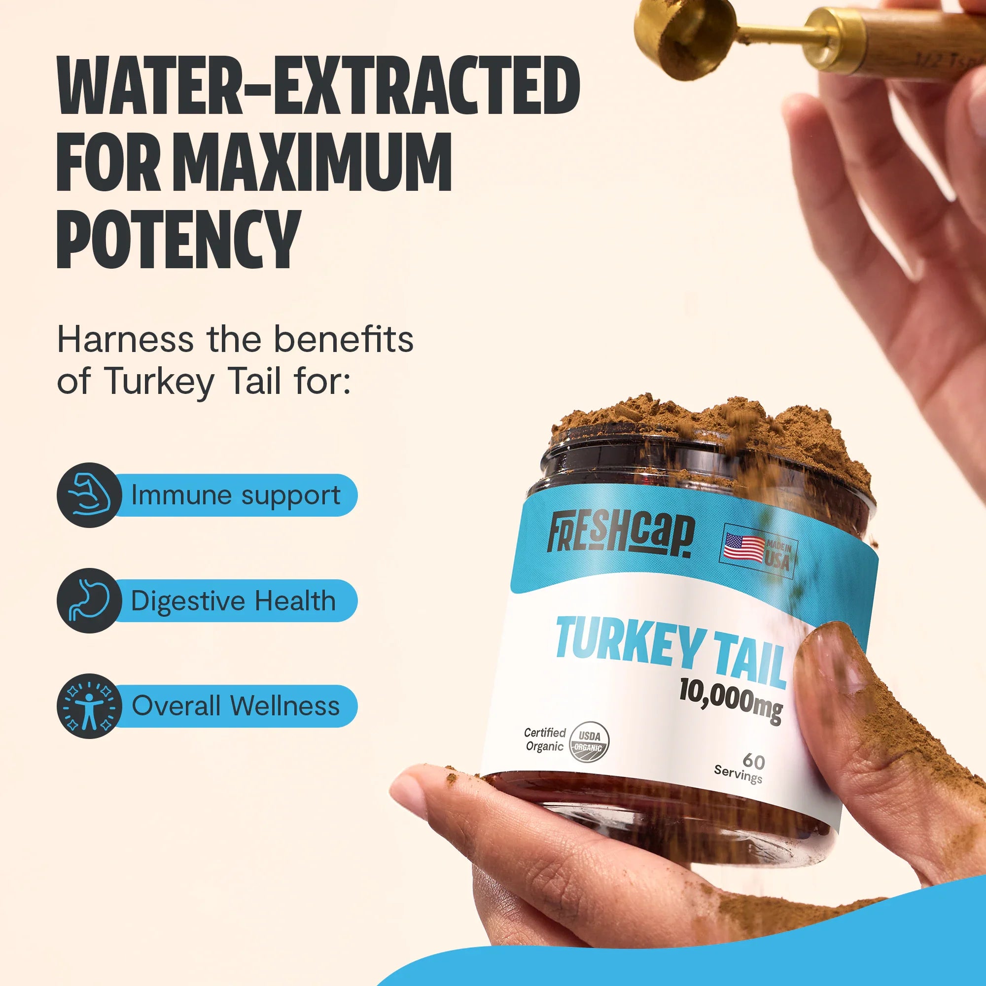 Organic Turkey Tail Mushroom Powder