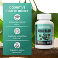 Ginkgo Biloba