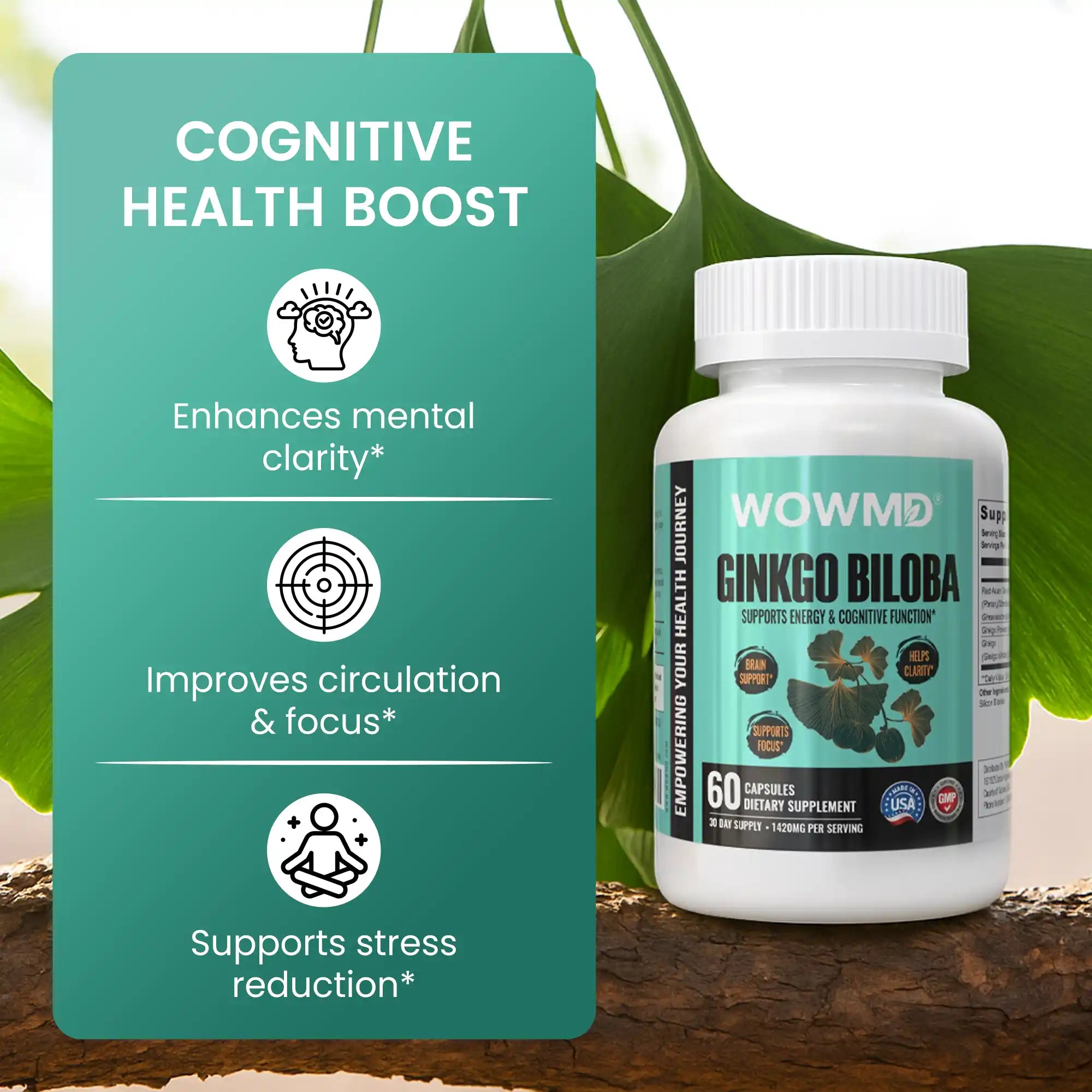Ginkgo Biloba
