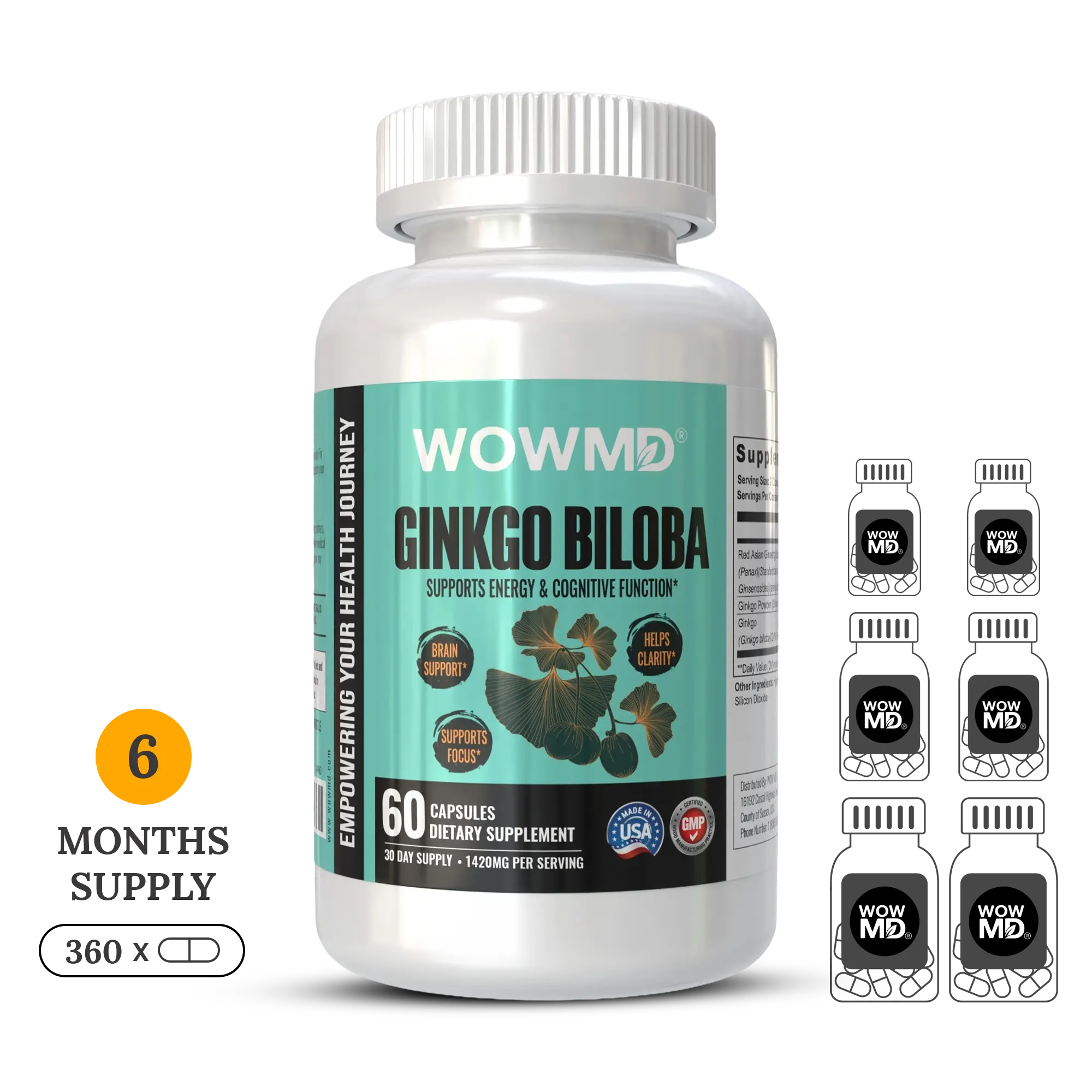 Ginkgo Biloba