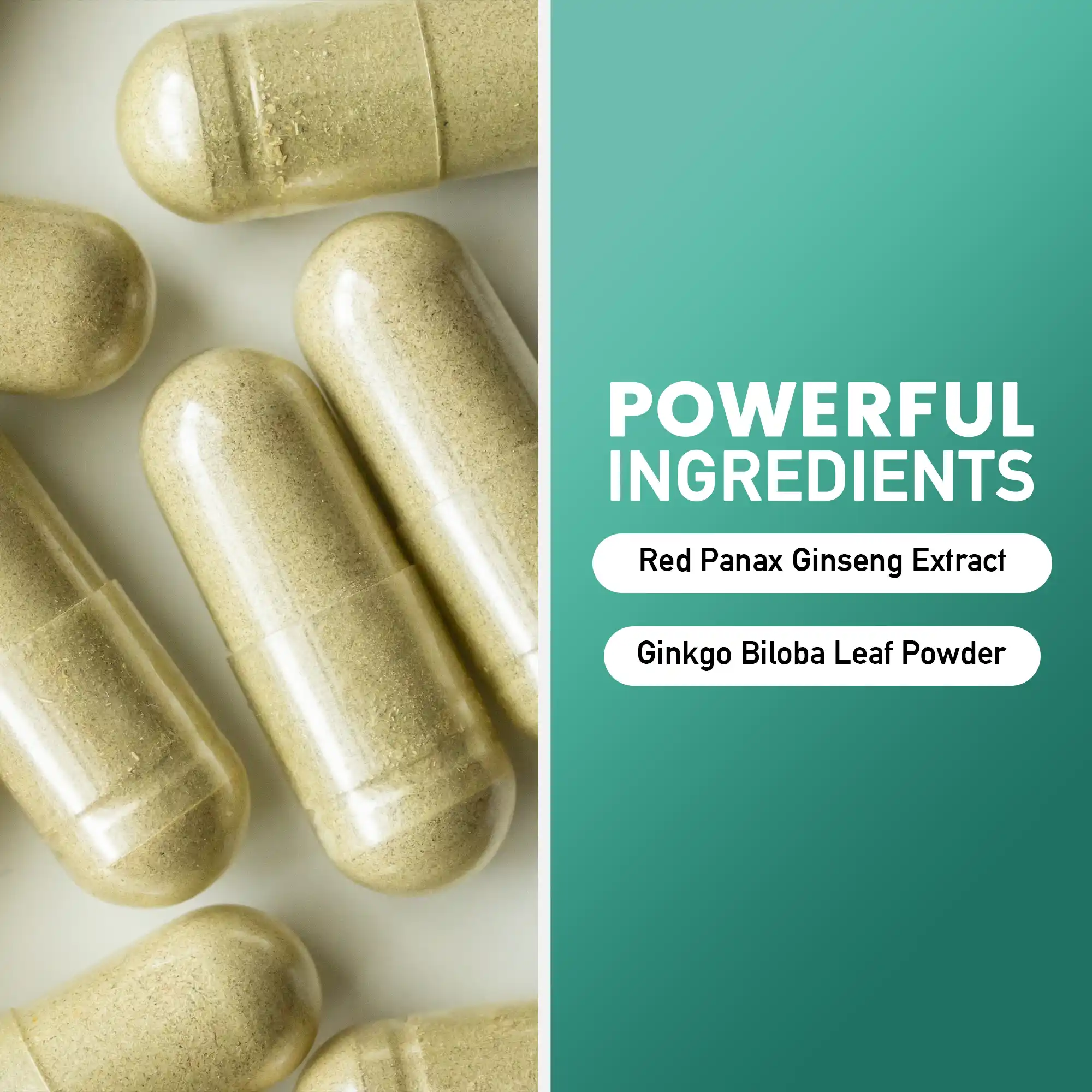 Ginkgo Biloba