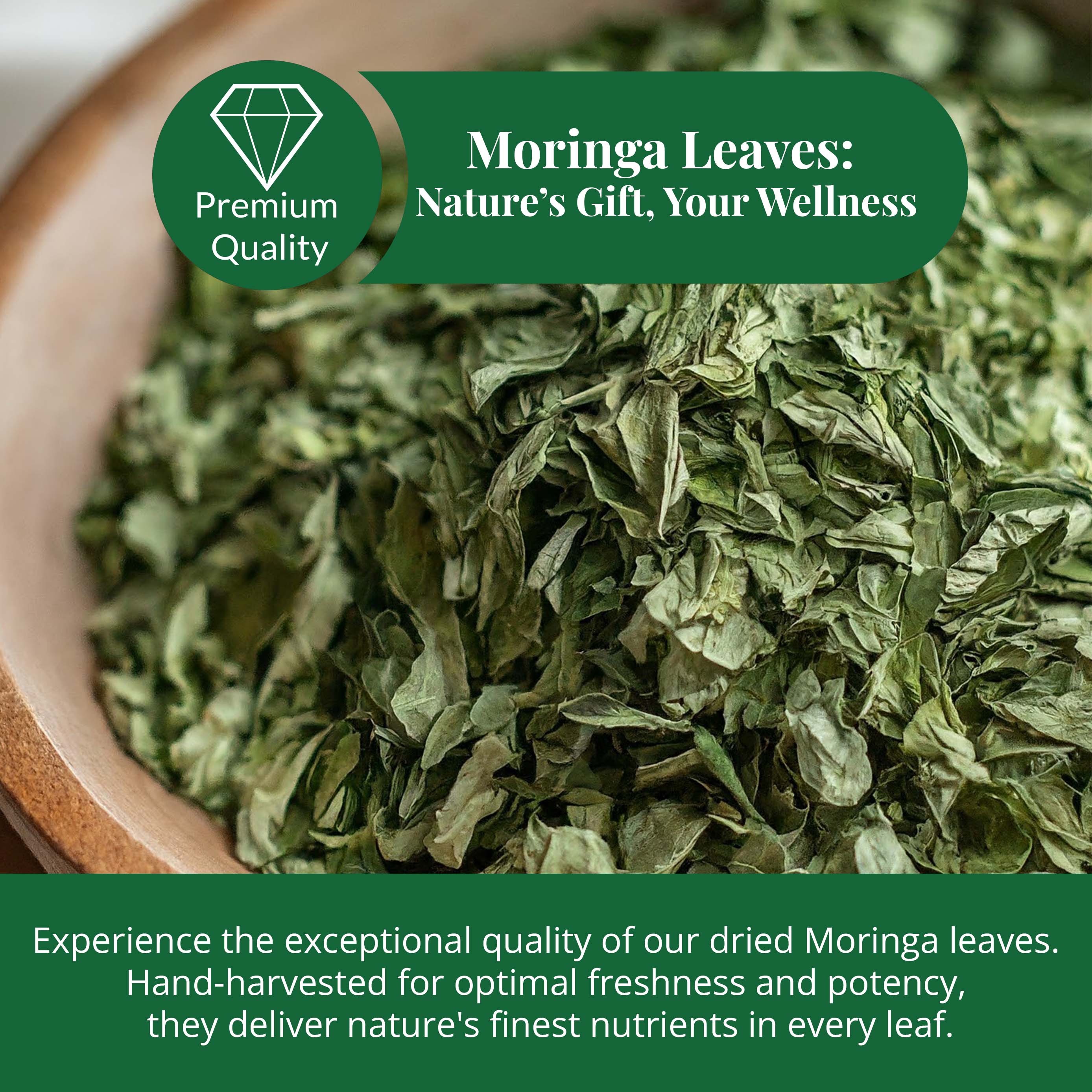Akshit Moringa (Oleifera) Tea Leaves – Herbal Tea, 100% Natural Moringa Leaves, Boosts Energy & Immunity - 2.6 oz